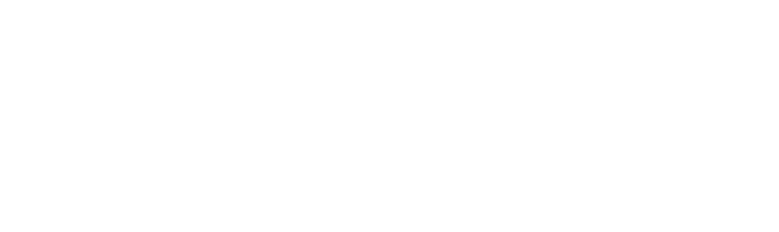 Basis Logistik GmbH